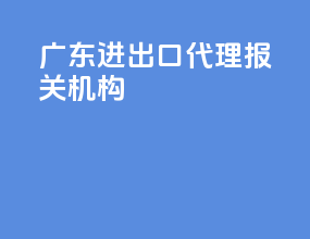 广东进出口代理报关机构
