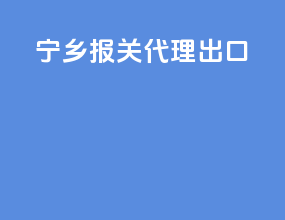 宁乡报关代理出口