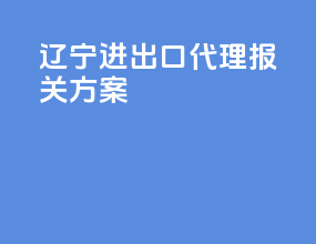 辽宁进出口代理报关方案
