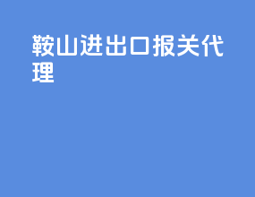 鞍山进出口报关代理