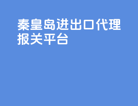 秦皇岛进出口代理报关平台