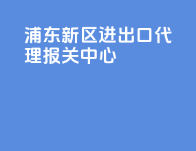 浦东新区进出口代理报关中心