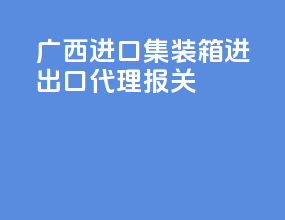 广西进口集装箱进出口代理报关