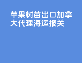 苹果树苗出口加拿大代理海运报关