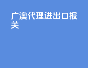 广澳代理进出口报关