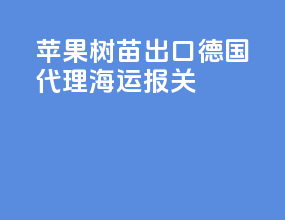 苹果树苗出口德国代理海运报关