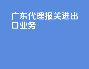广东代理报关进出口业务