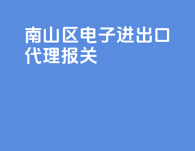 南山区电子进出口代理报关