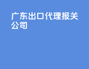 广东出口代理报关公司