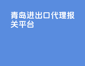 青岛进出口代理报关平台