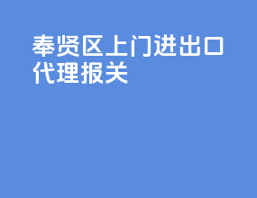 奉贤区上门进出口代理报关