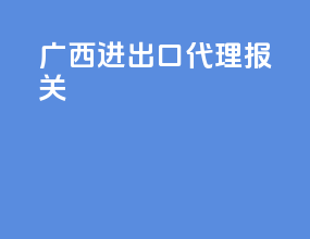 广西进出口代理报关