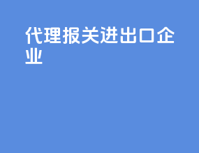 代理报关进出口企业