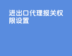 进出口代理报关权限设置