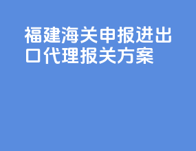 福建海关申报进出口代理报关方案