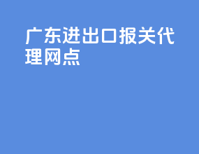 广东进出口报关代理网点