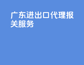 广东进出口代理报关服务