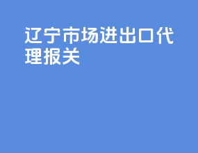 辽宁市场进出口代理报关