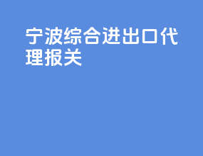 宁波综合进出口代理报关