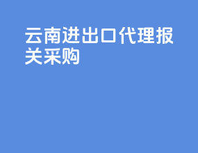 云南进出口代理报关采购