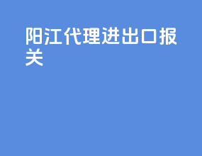 阳江代理进出口报关