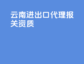 云南进出口代理报关资质