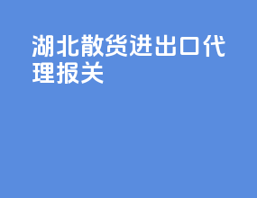 湖北散货进出口代理报关