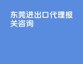 东莞进出口代理报关咨询