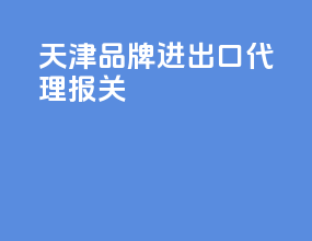 天津品牌进出口代理报关