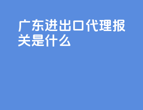 广东进出口代理报关是什么