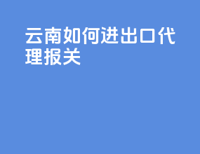 云南如何进出口代理报关