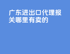 广东进出口代理报关哪里有卖的