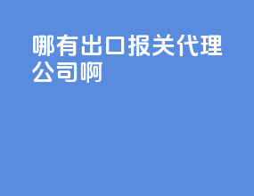哪有出口报关代理公司啊
