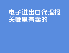 电子进出口代理报关哪里有卖的