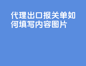 代理出口报关单如何填写内容图片