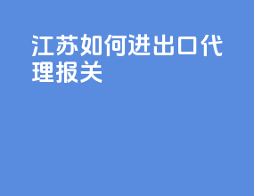 江苏如何进出口代理报关
