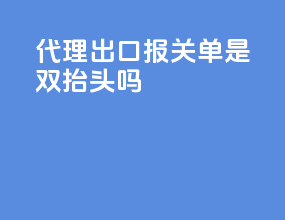 代理出口报关单是双抬头吗