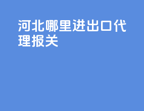 河北哪里进出口代理报关