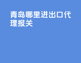 青岛哪里进出口代理报关
