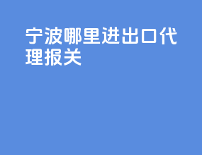 宁波哪里进出口代理报关