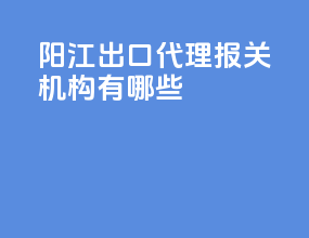 阳江出口代理报关机构有哪些