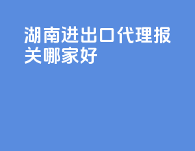 湖南进出口代理报关哪家好