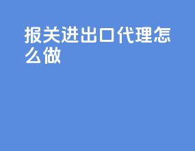 报关进出口代理怎么做