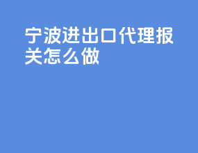 宁波进出口代理报关怎么做