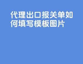代理出口报关单如何填写模板图片