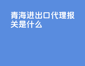 青海进出口代理报关是什么