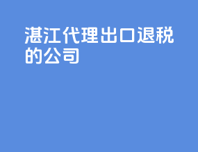 湛江代理出口退税的公司