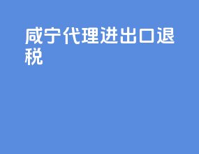 咸宁代理进出口退税