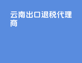 云南出口退税代理商