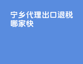 宁乡代理出口退税哪家快